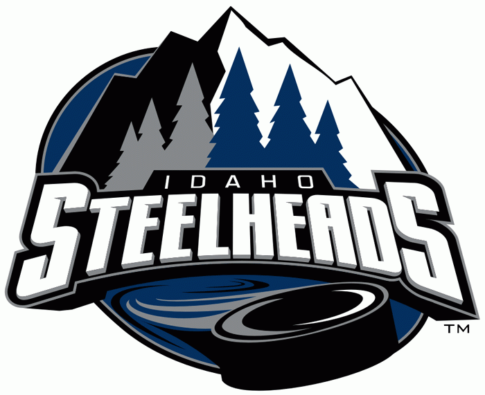 idaho steelheads 2011-pres alternate logo iron on transfers for T-shirts